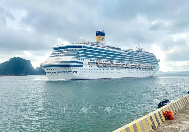 Cruise ship brings nearly 3,000 foreign guests to Ha Long - ảnh 1