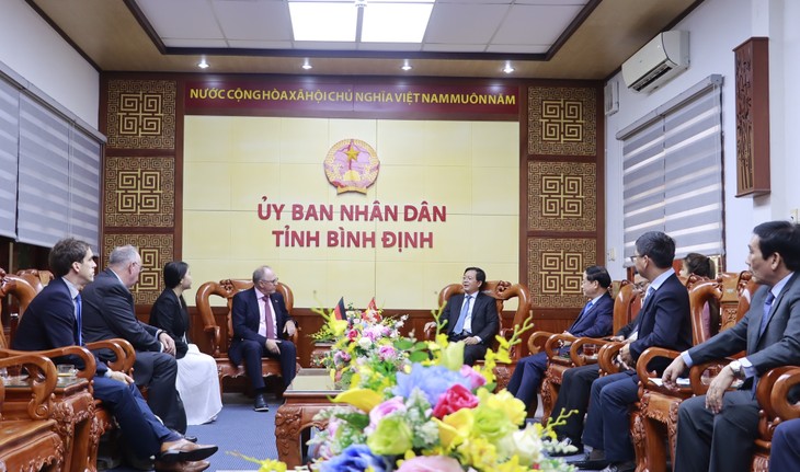 German-invested 4.6 billion USD offshore wind power project discussed in Binh Dinh - ảnh 1