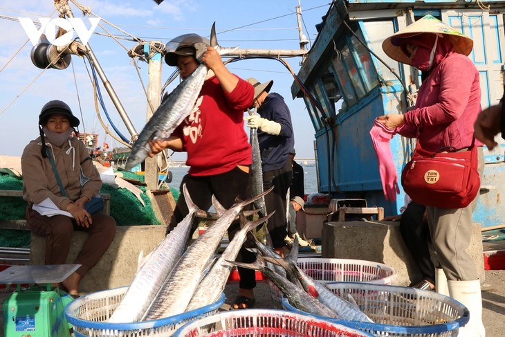 Quang Tri fishermen prepare for final fishing session of lunar year - ảnh 2