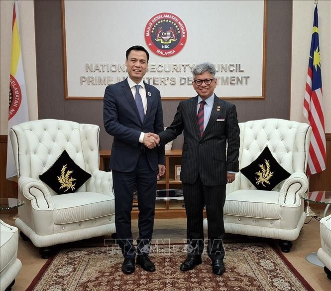 Vietnam, Malaysia jointly address IUU fishing - ảnh 1