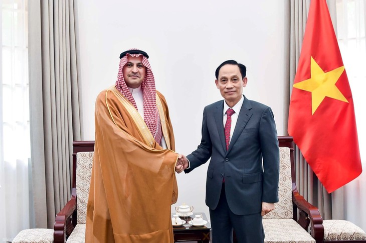 Foreign Minister receives outgoing Saudi Arabian ambassador - ảnh 1