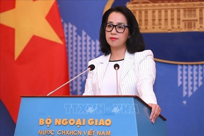 Jumpa Pers Periodik: Vietnam Membantah Informasi Hoax dari Inggris dan Menyesalkan atas Vonis Pengadilan Banding Paris - ảnh 1