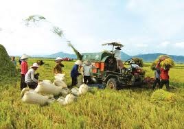 ຢັ້ງຢືນບົດບາດຂອງກະສິກຳໃນພື້ນຖານເສດຖະກິດ ຫວຽດນາມ - ảnh 1