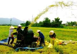 ຫວຽດນາມຍູ້ແຮງການປະຕິບັດໂຄງການຈຸດໝາຍແຫ່ງຊາດກໍ່ສ້າງຊົນນະບົດໃໝ່ - ảnh 1