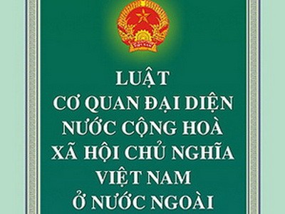 ກຳນົດລະບຽບການຄຸ້ມຄອງອົງການ ຫວຽດນາມ ຢູ່ ຕ່າງປະເທດ - ảnh 1