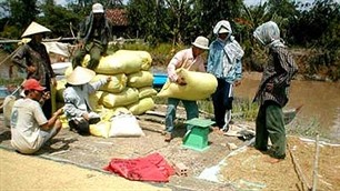 ຮອງນາຍົກໆ Vu Van Ninh ກວດກາວຽກງານກະກຽມຈັດງານຕະຫຼາດນັດເຂດທົ່ງພຽງແມ່ນ້ຳຂອງ. - ảnh 1