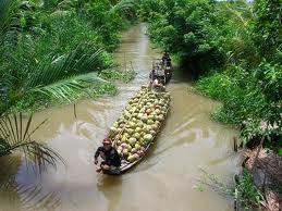 Festival ໝາກພ້າວ Ben Tre ຄັ້ງທີ 3 ປີ 2012  - ảnh 1