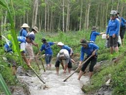 ຮັກສາສິ່ງແວດລ້ອມໃນການກໍ່ສ້າງຊົນນະບົດໃໝ່ - ảnh 3