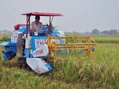 ກອງປະຊຸມຄັ້ງທີ 24 ຄະນະກຳມະການ ອາຊີ - ປາຊີຝິກ ກ່ຽວກັບສະຖິຕິດ້ານການກະເສດ  - ảnh 1