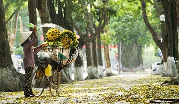 ລະດູໃບໄມ້ຫຼົ່ນຢູ່ຮ່າໂນ້ຍ - ảnh 16