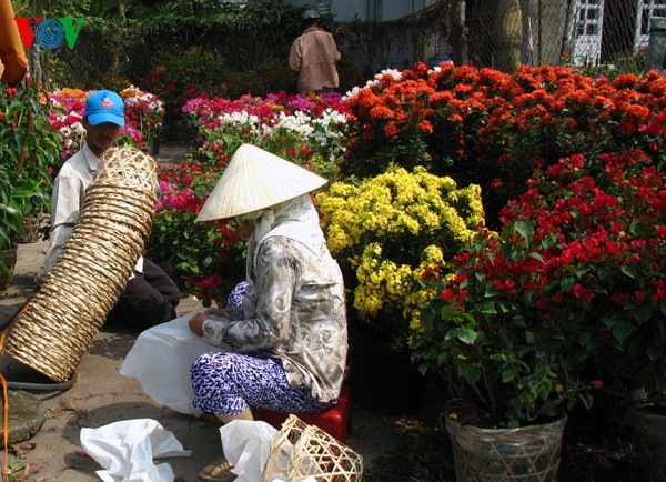 ໝູ່ບ້ານ​ປູກດອກ​ໄໝ້​ປະ​ດັບ ເຕີ​ນ​ຟູ໋, ເທດ​ສະ​ບານ ຊາ​ແດກ ແຂວງ ດົ່ງ​ທາບ - ảnh 5