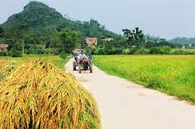 ສ້າງຄວາມເຫັນດີເຫັນພ້ອມເພື່ອກໍ່ສ້າງຊົນນະບົດໃໝ່ - ảnh 3