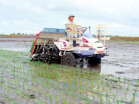 ນຳໃຊ້ກົນຈັກໃນການຜະລິດເຂົ້າຢູ່ເຂດທົ່ງພຽງແມ່ນ້ຳຂອງ - ảnh 1