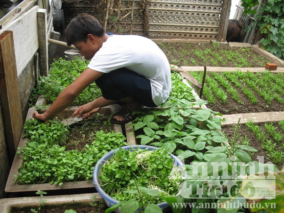 ໄປຢ້ຽມຢາມບັນດາ “ຮູບແບບກະສີກຳ“ ຢູ່ເກາະເຈື່ອງຊາ - ảnh 2