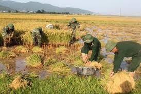 ທະຫານປ້ອງກັນຊາຍແດນແຂວງນາມດິ້ງ ຮ່ວມແຮງຮ່ວມໃຈ ກໍ່ສ້າງຊົນນະບົດໃໝ່ - ảnh 1