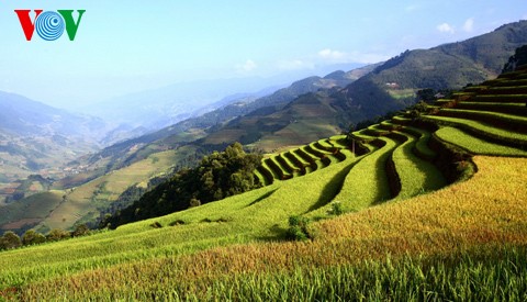 ນາຂັ້ນໄດປ່ຽນສີຍາມລະດູໃບໄມ້ຫຼົ່ນ - ảnh 10