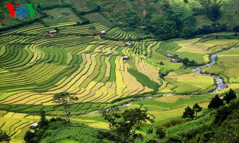 ນາຂັ້ນໄດປ່ຽນສີຍາມລະດູໃບໄມ້ຫຼົ່ນ - ảnh 4