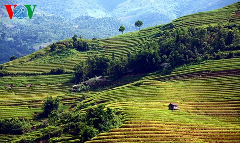 ນາຂັ້ນໄດປ່ຽນສີຍາມລະດູໃບໄມ້ຫຼົ່ນ - ảnh 7