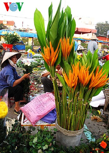 ຕະຫຼາດດອກໄມ້ ກວາງອານ, ຮ່າໂນ້ຍ - ảnh 5