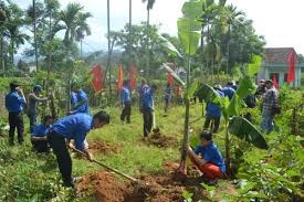 ຊາວໜຸ່ມຮ່າໂນ້ຍ ກັບວັນອາສາສະໝັກສາກົນ - ảnh 4