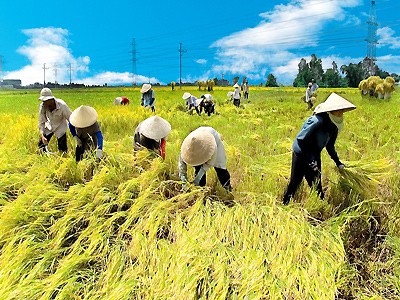 ເປີດທິດພັດທະນາໃຫມ່ໃຫ້ແກ່ເຂດທ່ົງພຽງແມ່ນຳ້ຂອງທາງພາກໃຕ້ຫວຽດນາມ - ảnh 1