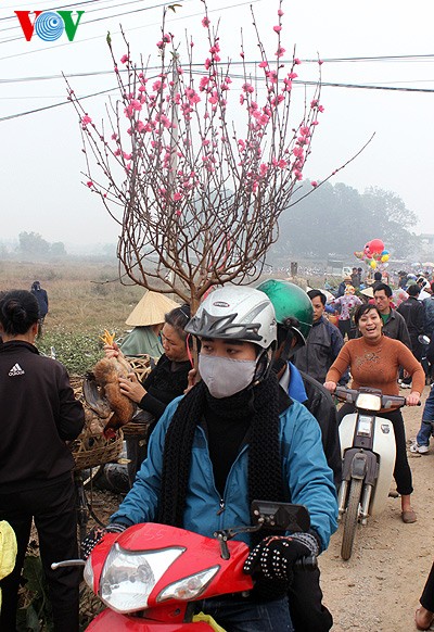 ຕະຫຼາດເຂດບ້ານນາໃນໂອກາດບຸນເຕັດ - ảnh 15