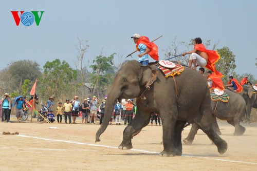 ຊ້າງ ບ້ານດົນ ແຂ່ງຂັນເຕະບານ - ảnh 3