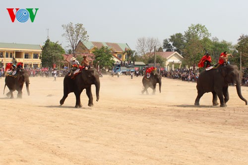 ຊ້າງ ບ້ານດົນ ແຂ່ງຂັນເຕະບານ - ảnh 5