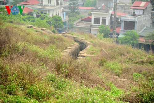 ບັນດາຮ່ອງຮອຍກ່ຽວກັບບັ້ນຮົບລະຫວ່າງເສືອແລະຊ້າງ - ảnh 12