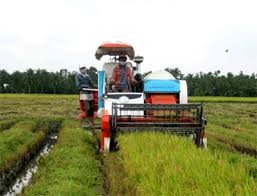 ການນຳໃຊ້ກົນຈັກປະກອບສ່ວນເພີ່ມສະມັດຕະພາບແຮງງານ ໃນການຜະລິດກະສີກຳ - ảnh 1