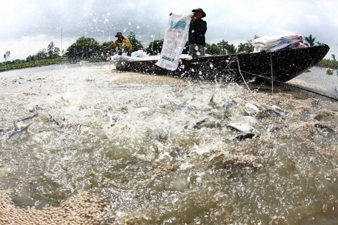 ຊຸກຍູ້ການຮ່ວມມືຮ່ວມສຳພັນລະຫວ່າງເຂດຜ່ານເວທີປາໄສຮ່ວມມືເສດຖະກິດເຂດທົ່ງພຽງແມ່ນ້ຳຂອງທາງພາກໃຕ້ຫວຽດນາມ - ảnh 2