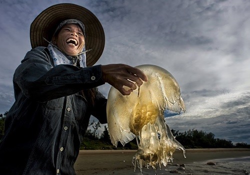 ຄົ້ນ​ຫ​າ​ຄວາມ​ງາມ​ຂອງ​ຫວຽດ​ນາມ​ຜ່ານ​ຮູບ​ຖ່າຍ - ảnh 7