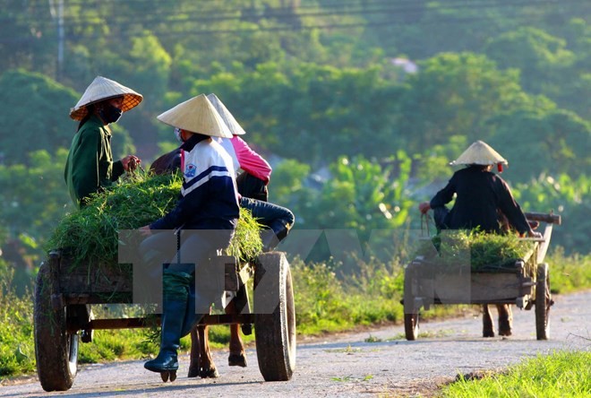 ຊາວຄຼິດ, ຕາແສງແທກທັ໋ງ, ນະຄອນເກິ່ນເທີ ກໍ່ສ້າງຊົນນະບົດໃໝ່ - ảnh 2