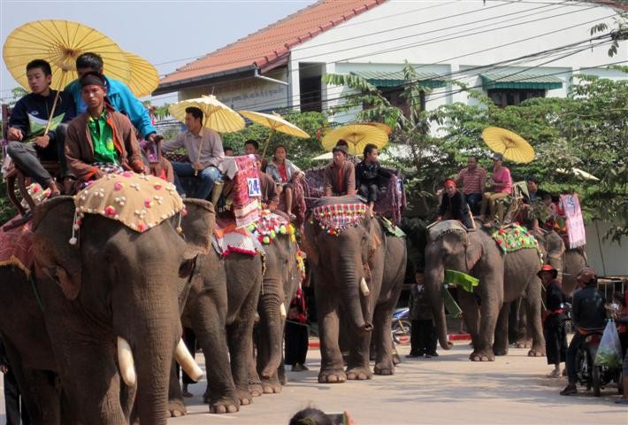 ລາວ ຈະຈັດຕັ້ງ Caravan ຊ້າງດ້ວຍຂອບຂະໜາດໃຫຍ່ໃນປີ 2015 - ảnh 1