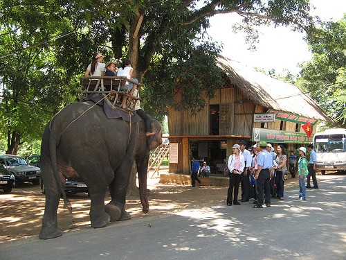 ທ່ອງທ່ຽວຢ້ຽມຢາມບ້ານຕ່າງໆຂອງຊາວຊົນເຜົ່າຢູ່ດັກລັກ - ảnh 1