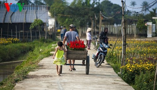 ໝູ່ບ້ານດອກໄມ້ຟຸ໋ເມົ້າ - ảnh 10