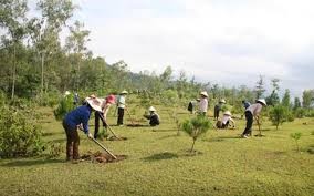 ແມ່ຍິງແຂວງກວາງຈີ້ເຂົ້າຮ່ວມການກໍ່ສ້າງຊົນນະບົດໃໝ່ - ảnh 2