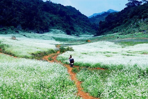 ການທ່ອງທ່ຽວຢູ່ໂມກເຈົາມື້ໜຶ່ງ - ảnh 1