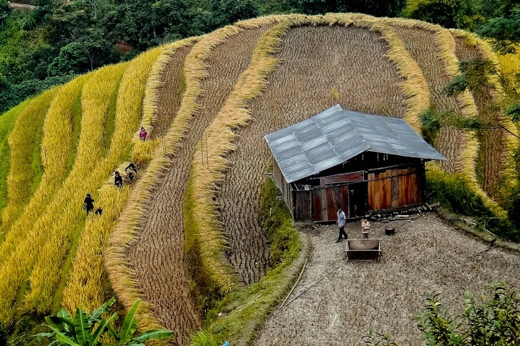 ລະບົບນາຂັ້ນໄດຢູ່ ຮ່ວາງສູຟີ່ງາມທີ່ສຸດໃນ​ແຂວງ ຮ່າຢາງ  - ảnh 2