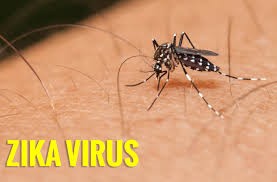 ກ່າວເຕືອນໄວຣັດ Zika ອາດຈະແຜ່ລາມອອກສູ່ອາຊີ -ປາຊີຟີກ - ảnh 1