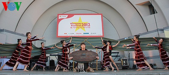 Vietnam-Fest in Japan erfolgreich organisiert - ảnh 1