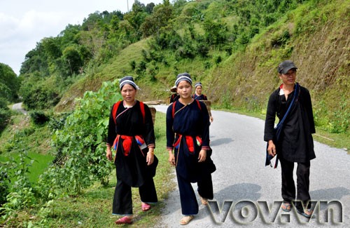 Fin Ho-Tee in der Bergprovinz Ha Giang  - ảnh 1