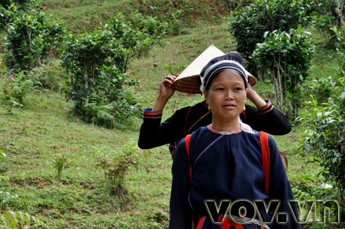 Fin Ho-Tee in der Bergprovinz Ha Giang  - ảnh 11