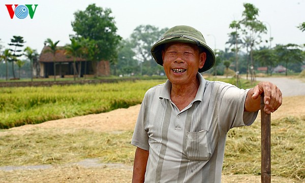 Erntezeit im traditionellen Dorf Duong Lam - ảnh 19