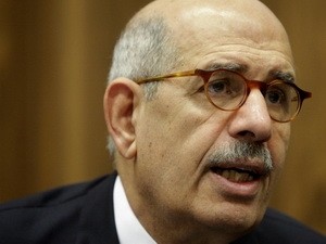 Mohamed El-Baradei als Vize-Präsident Ägyptens vereidigt - ảnh 1