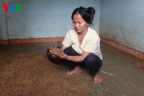 Beseitigung der Folgen des Taifuns Wutip - ảnh 2