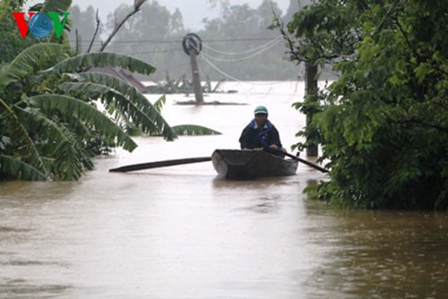 Beseitigung der Folgen des Taifuns Wutip - ảnh 3
