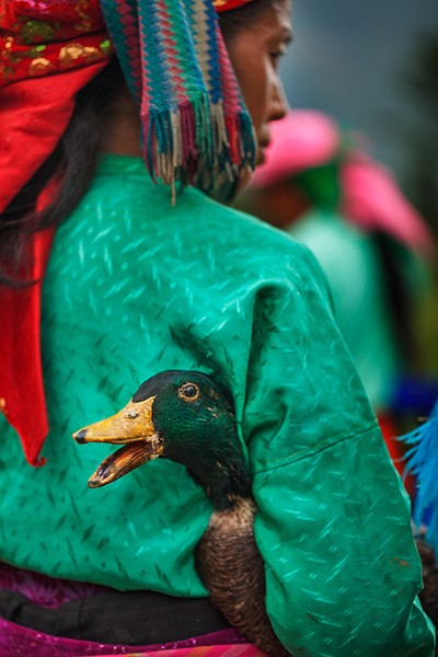 Schöne Momente in der Berggegend Tay Bac - ảnh 5