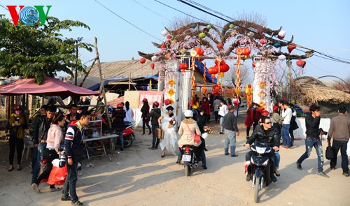 Jugendliche in Hanoi machen Fotos in Frühlingsgärten - ảnh 1