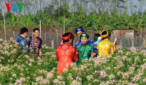 Jugendliche in Hanoi machen Fotos in Frühlingsgärten - ảnh 4